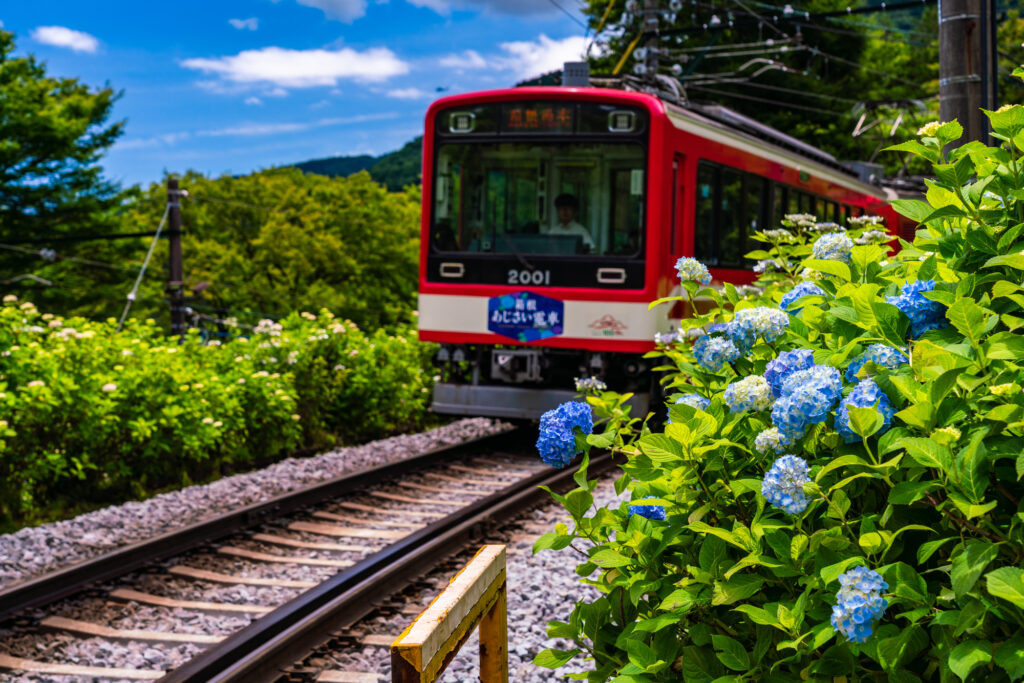 午前:箱根登山鉄道で箱根へ