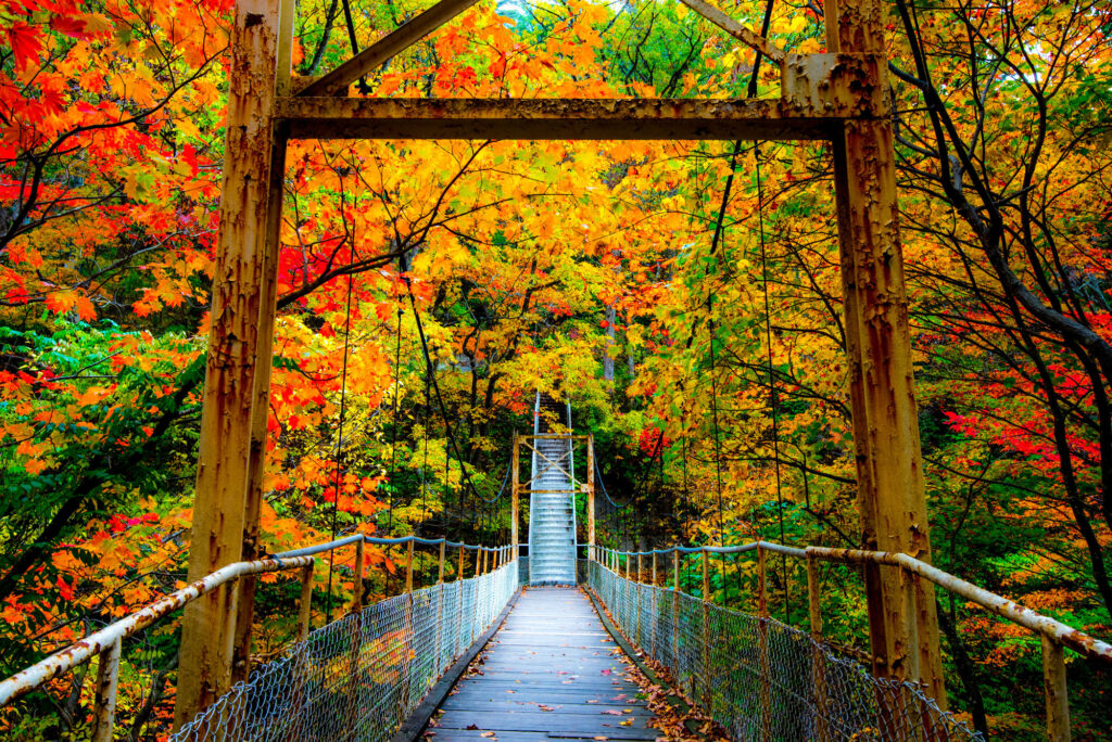 花巻南温泉峡 渡り温泉