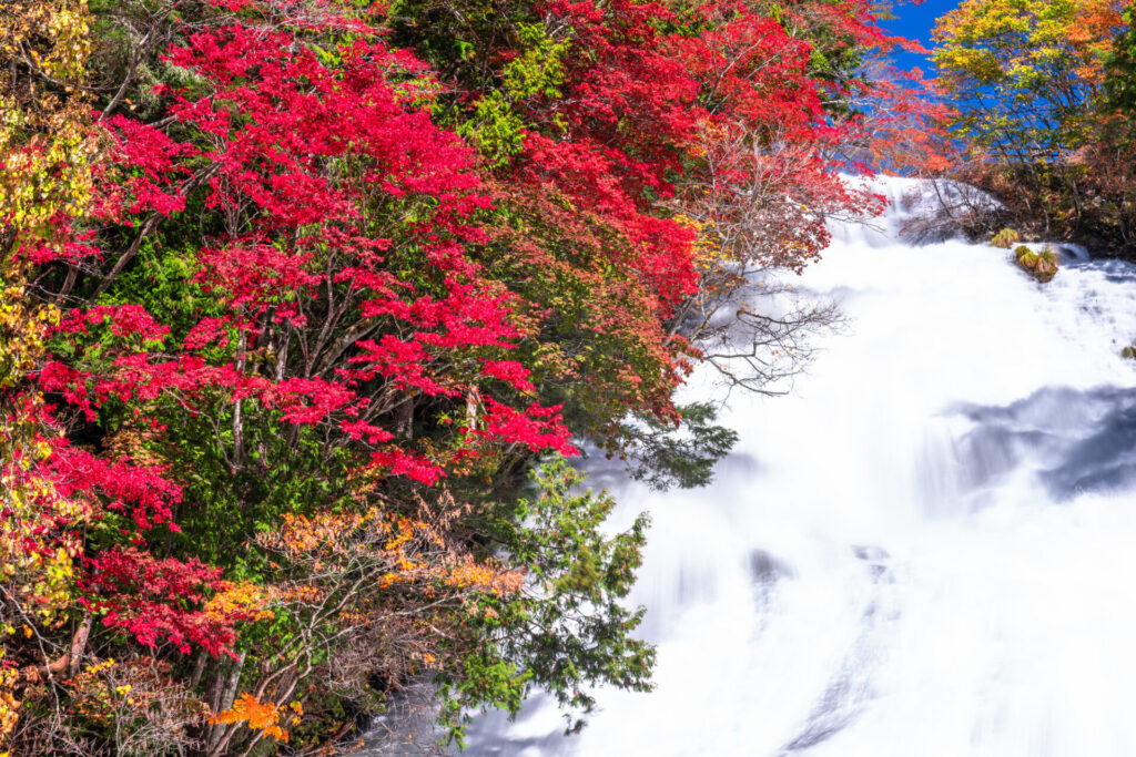 日光紅葉