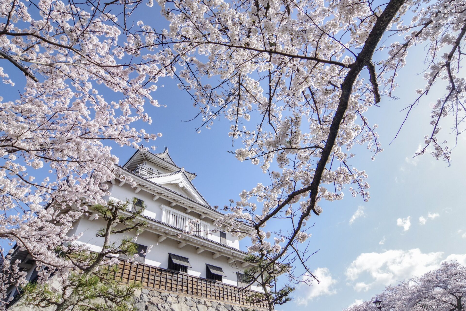 長浜 観光 モデル コース_アイキャッチ