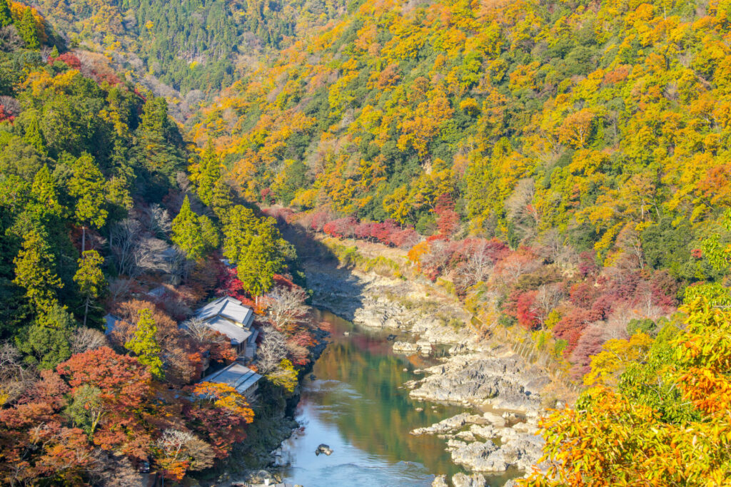 保津峡展望台からの紅葉眺望