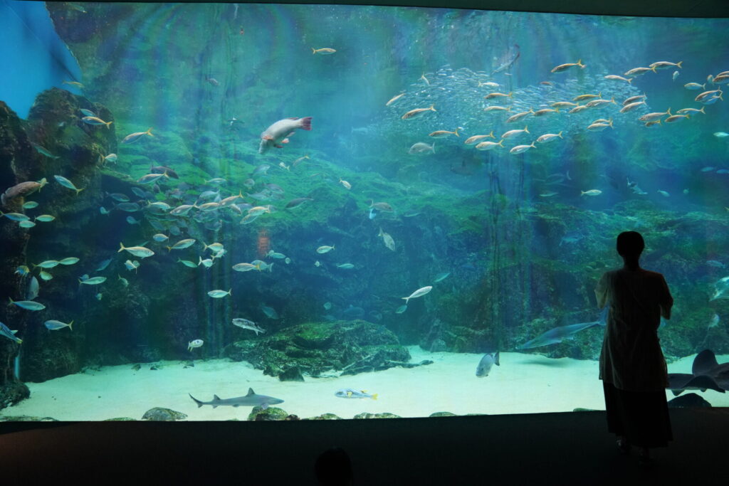 九十九島水族館海きらら