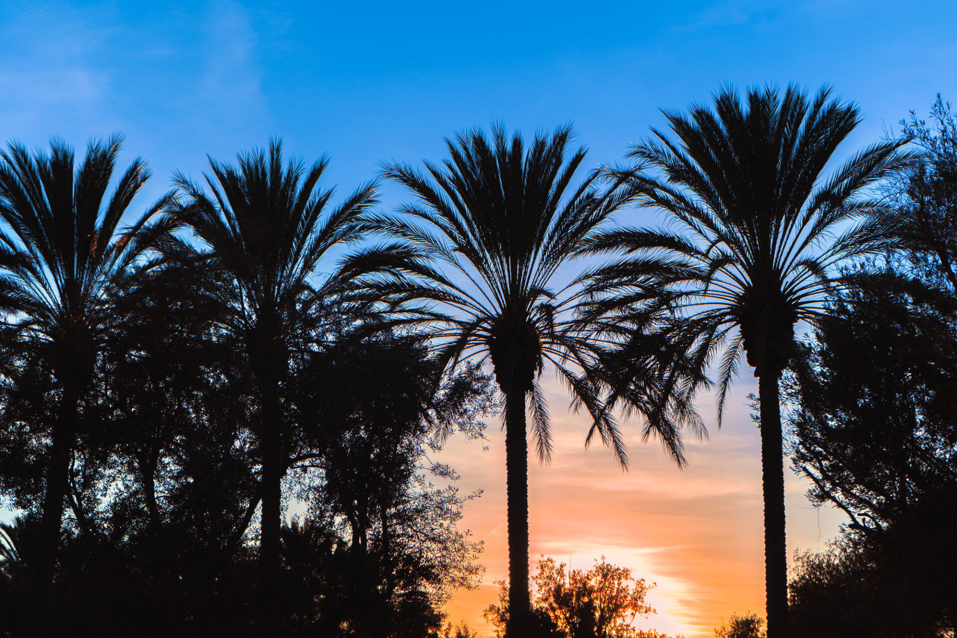 ロサンゼルス新婚旅行