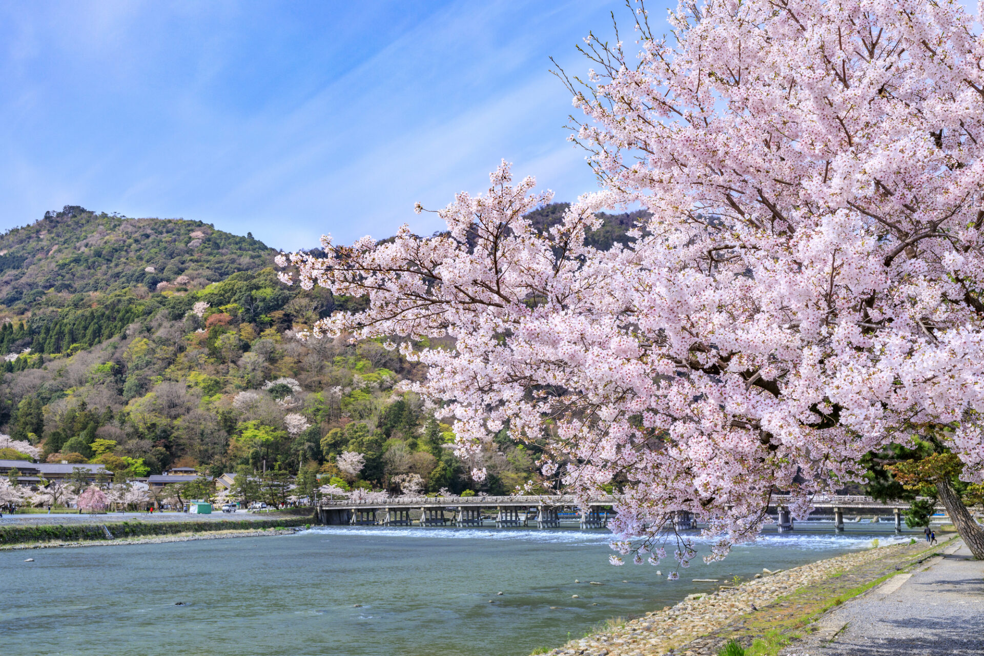 嵐山 モデル コース 半日_アイキャッチ