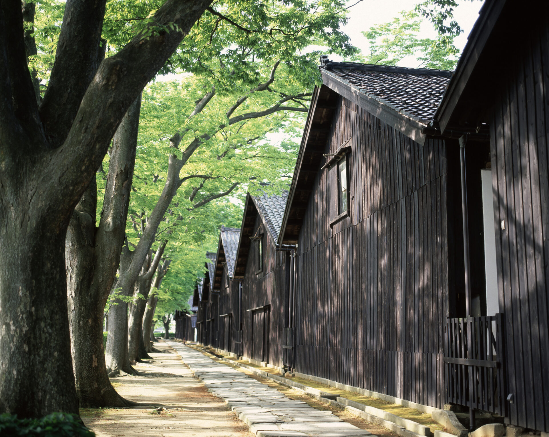 酒田 観光 モデル コース_アイキャッチ