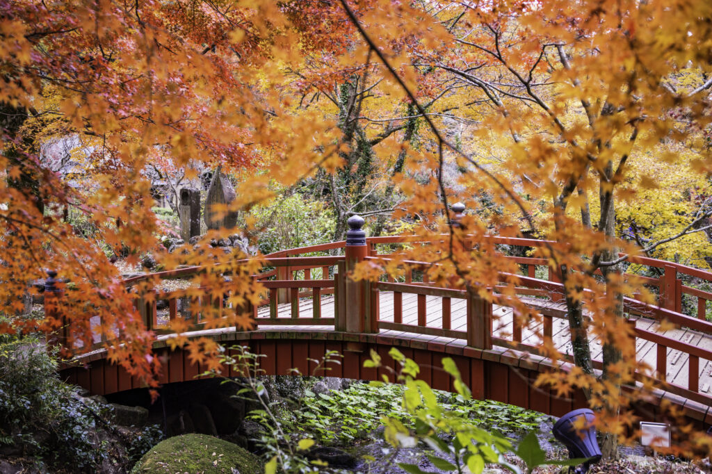 熱海 女子 旅 モデル コース 日帰り_アイキャッチ