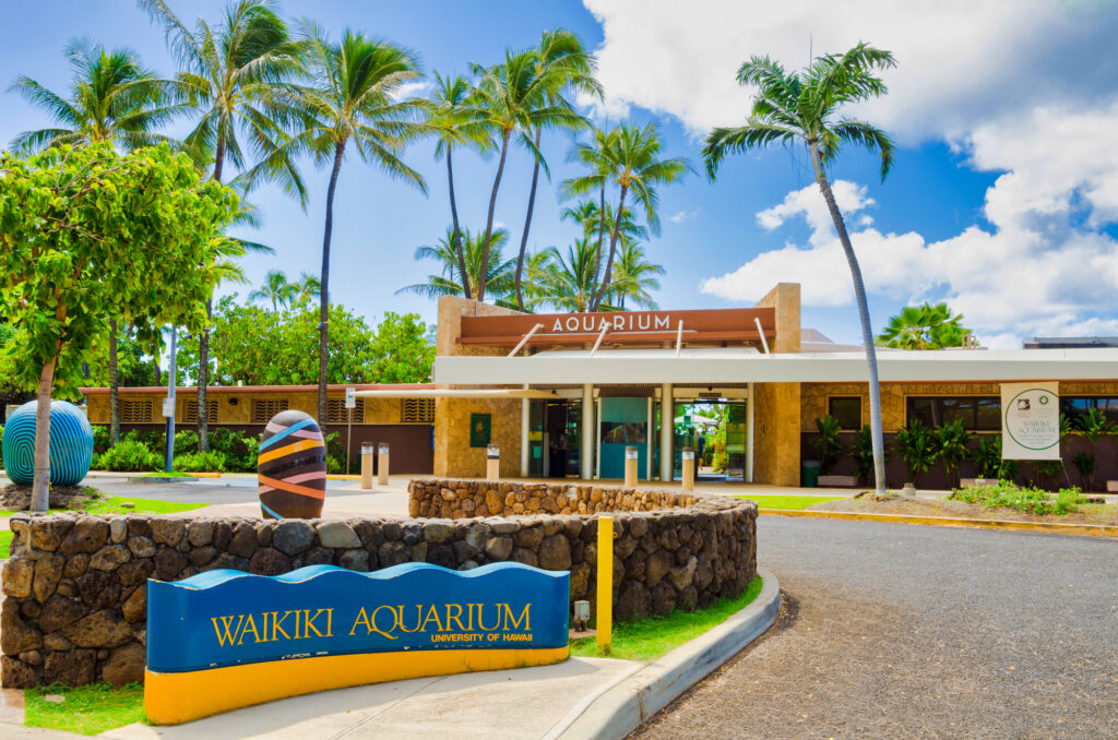 ワイキキ水族館