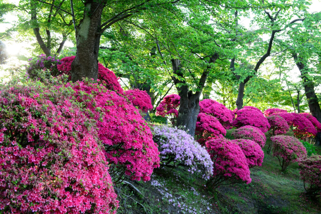 合わせて行きたい！おすすめ観光スポット