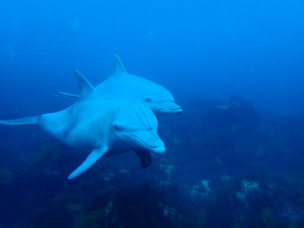 あわせて行きたい!おすすめ観光スポット