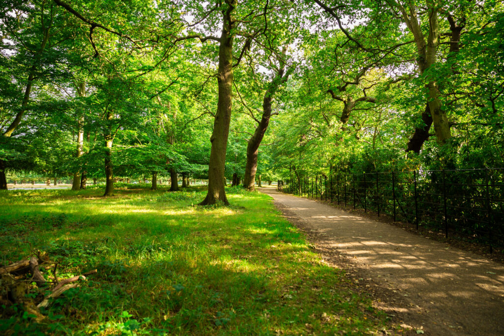 マンチェスターのリラクゼーションスポット