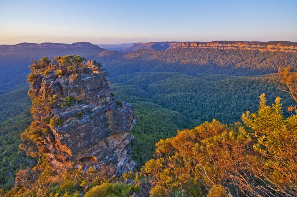 ブルー マウンテンズ 個人