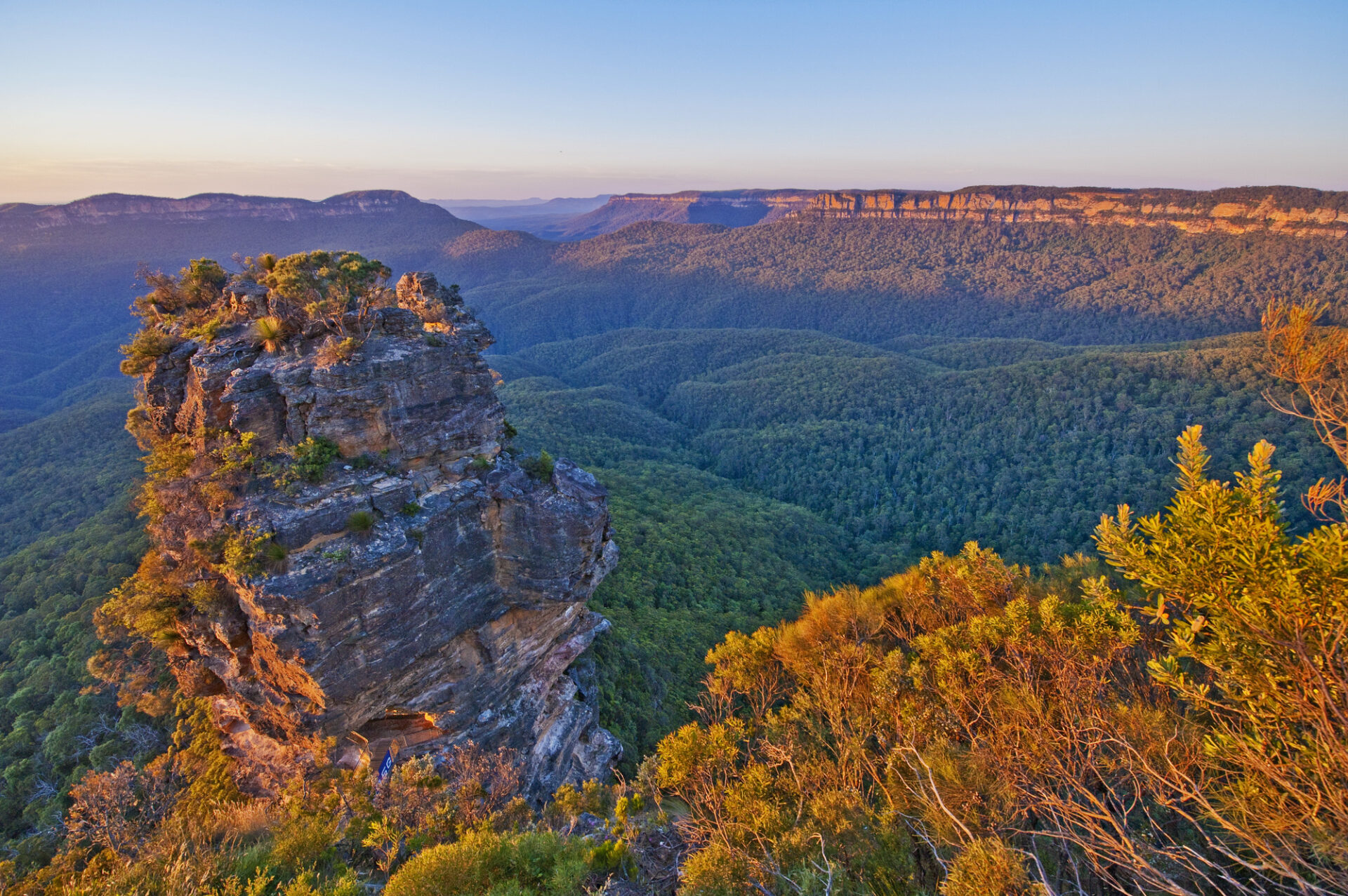 ブルー マウンテンズ 個人