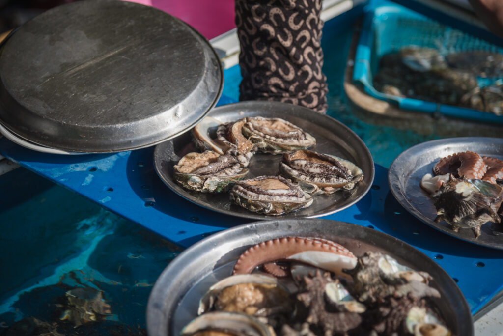 済州島のアワビ