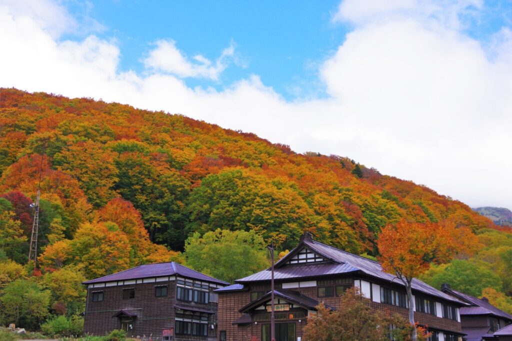 青森 紅葉 モデル コース_青森の宿泊施設