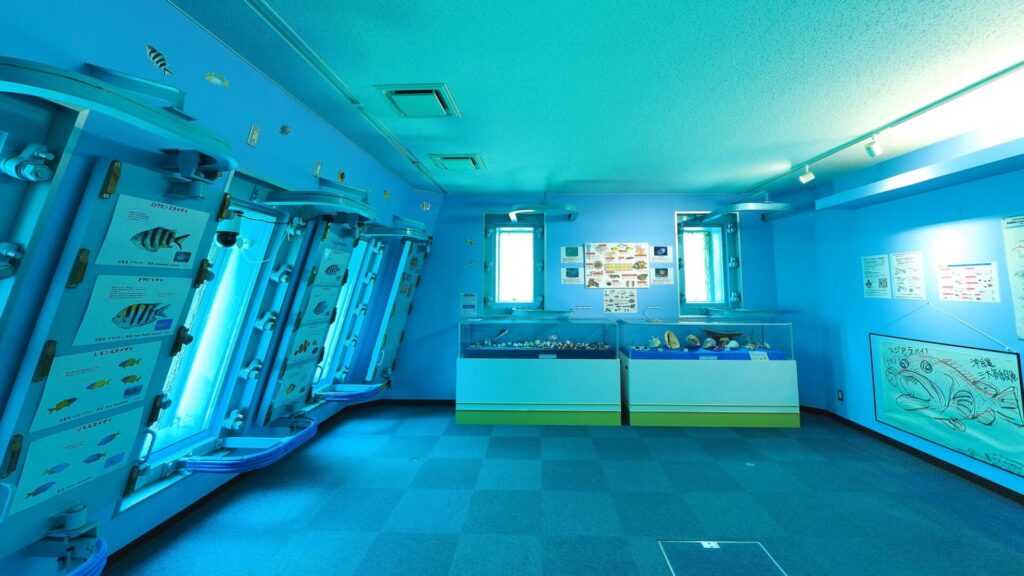 宮古島海中公園館内の様子
