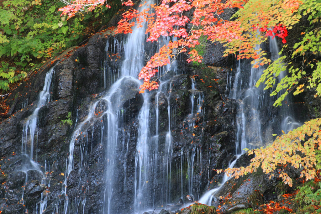 青森 紅葉 モデル コース_2日目