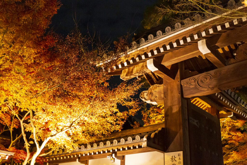 京都の紅葉ライトアップ