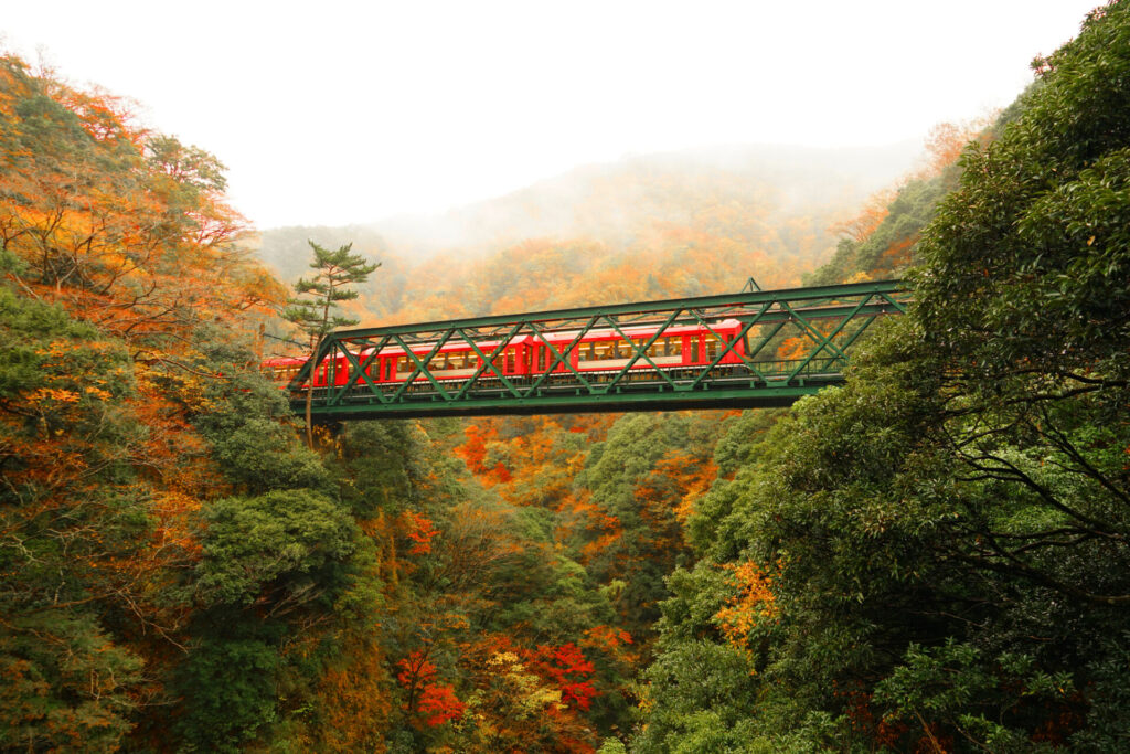 紅葉と鉄道