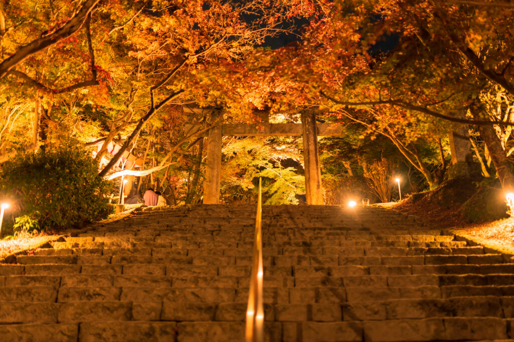 夜: 宝満宮竈門神社