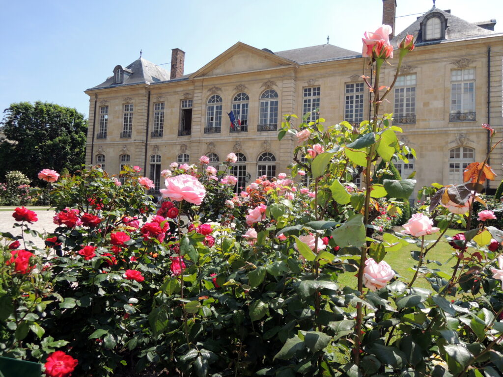 バラの花が美しく咲くロダン美術館