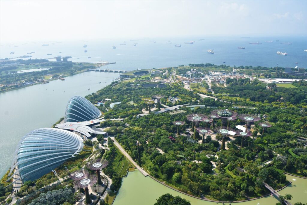 夕方: クラウド フォレストで珍しい植物観察