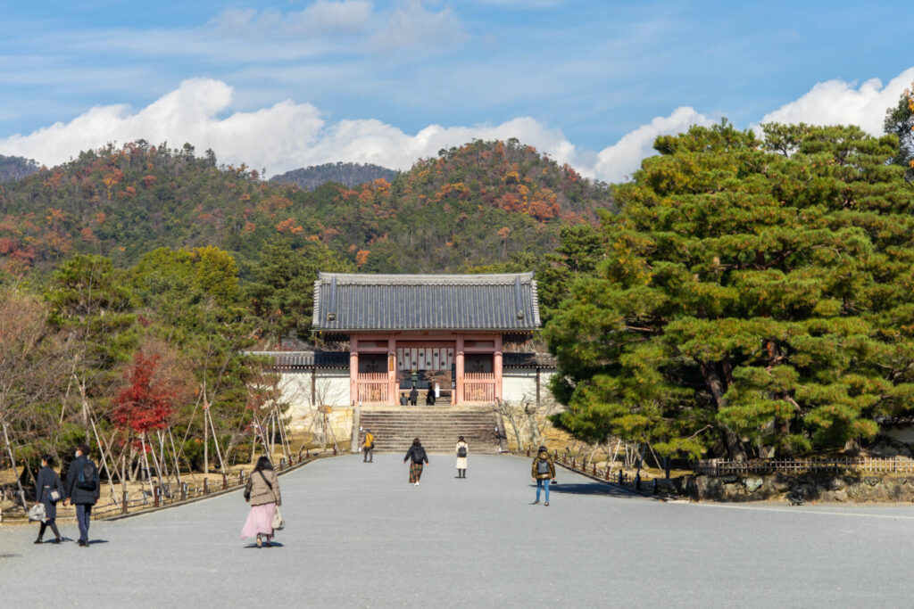仁和寺紅葉