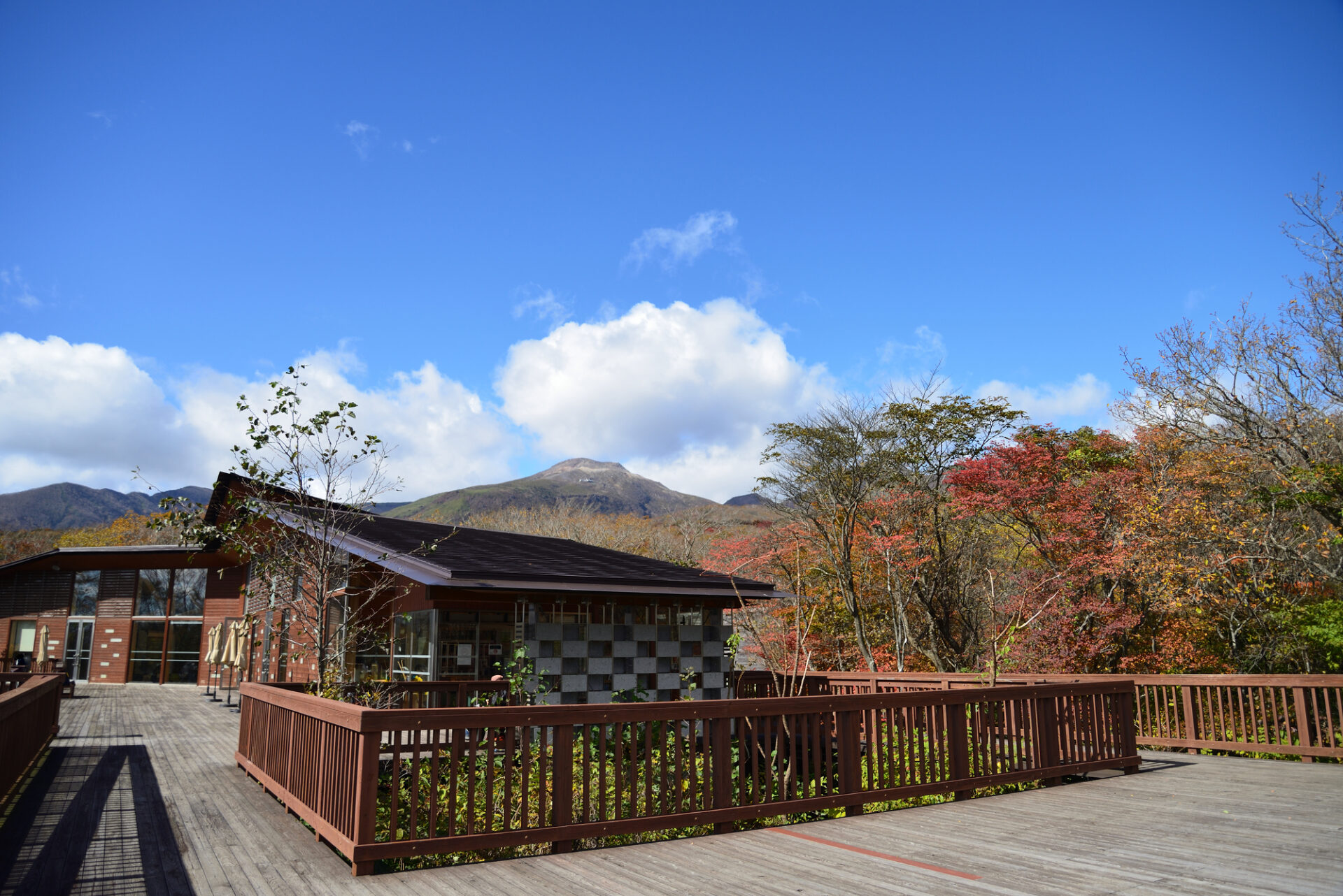 栃木_那須平成の森