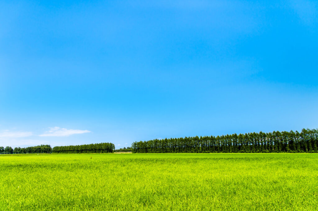 まとめ|帯広観光は大自然と美食の宝庫