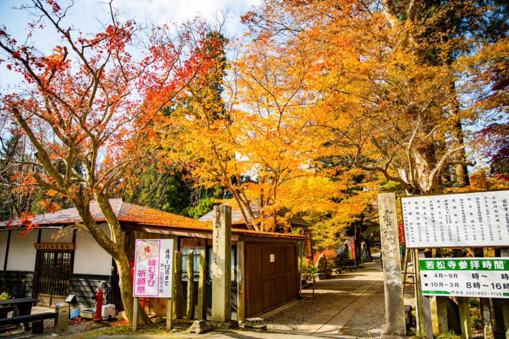 あわせて行きたい!おすすめ観光スポット