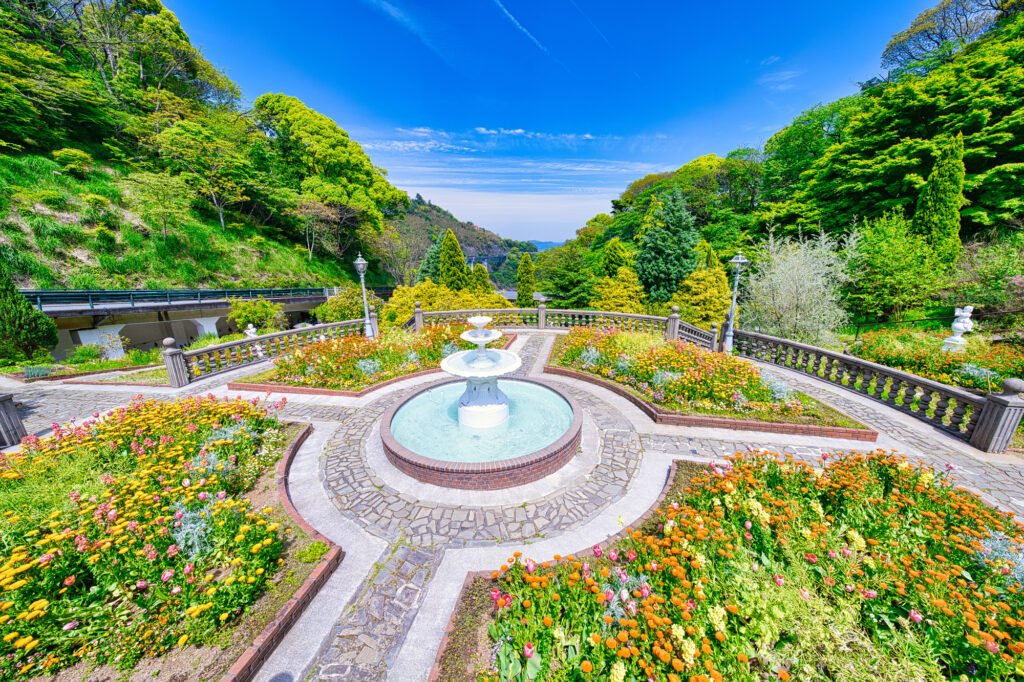 ACAO FORESTのハーブ&ローズガーデンの花