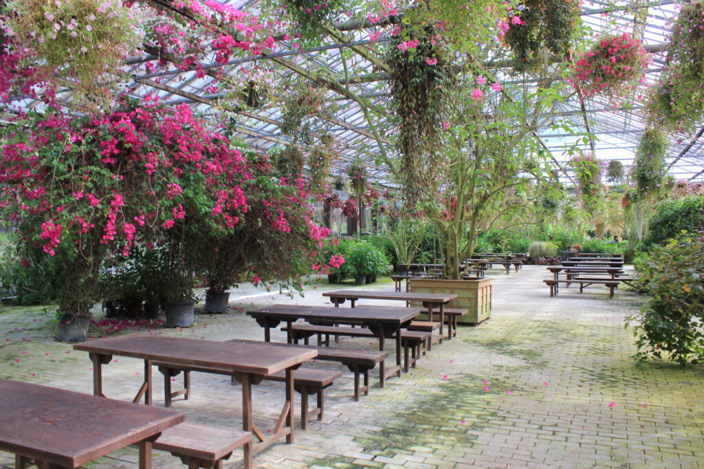 静岡の動物園と公園