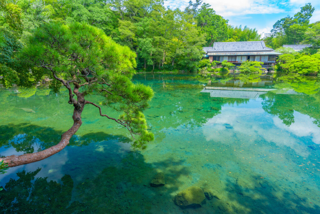 楽寿園 小浜池 【静岡県　三島市】