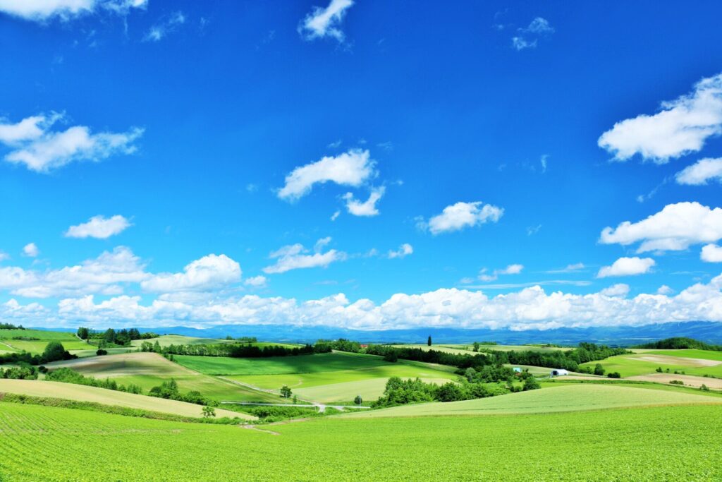 北海道の自然を満喫