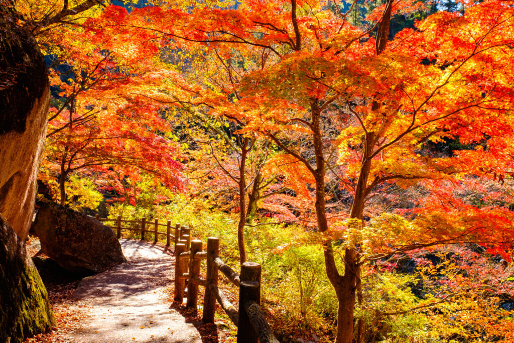 山梨 観光 モデル コース_２日目