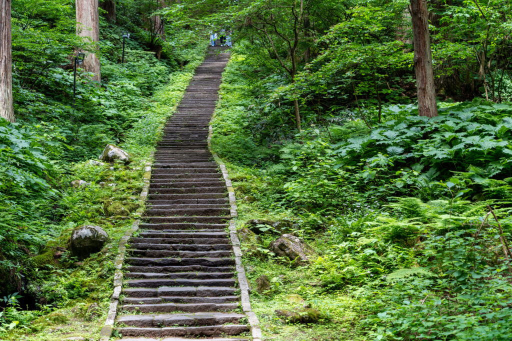 初夏の出羽三山神社　羽黒山の杉並木と継子坂　山形県鶴岡市