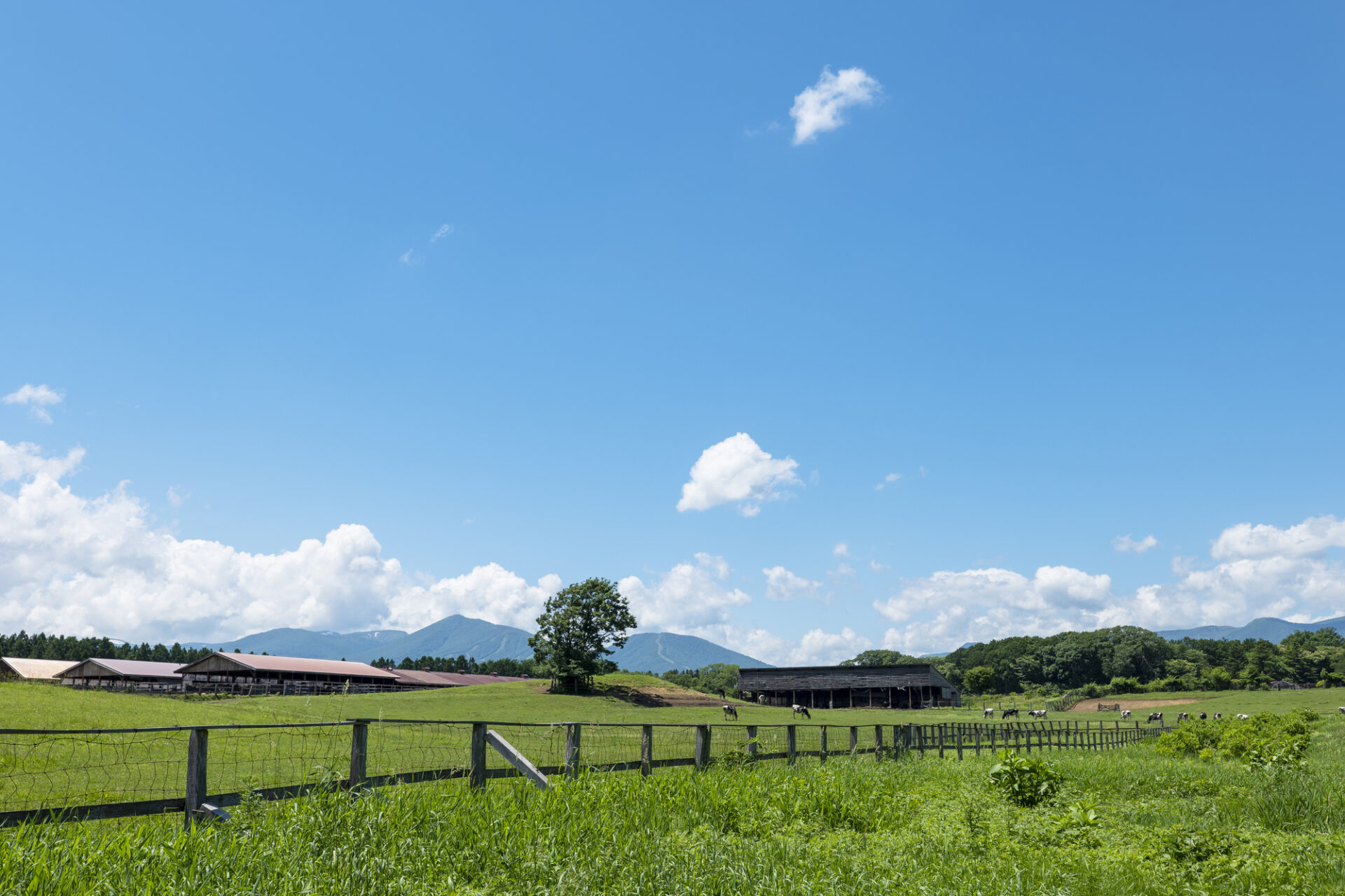 岩手 観光 モデル コース_アイキャッチ