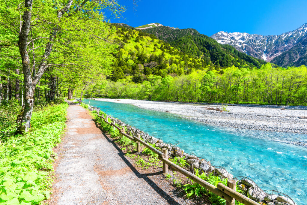 午前: 上高地散策