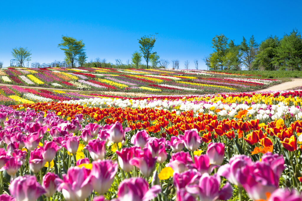長崎にあるハウステンボス