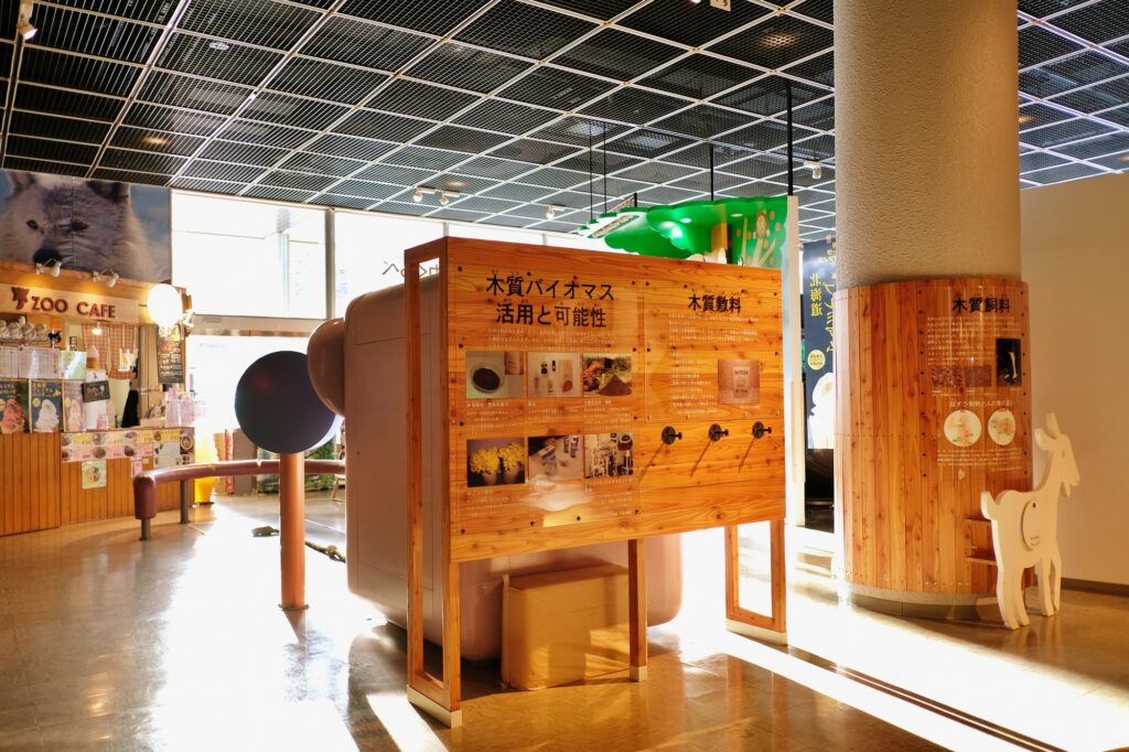 まとめ|雨の日も札幌は楽しい!