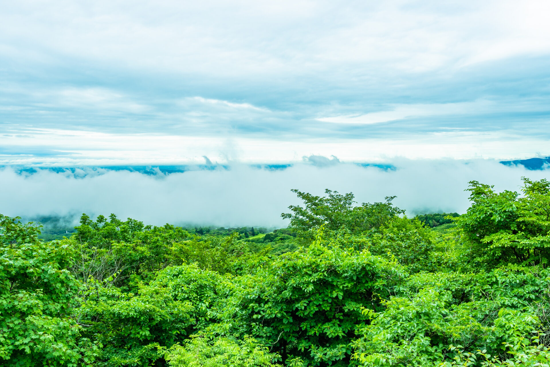 栃木の観光名所那須高原の風景