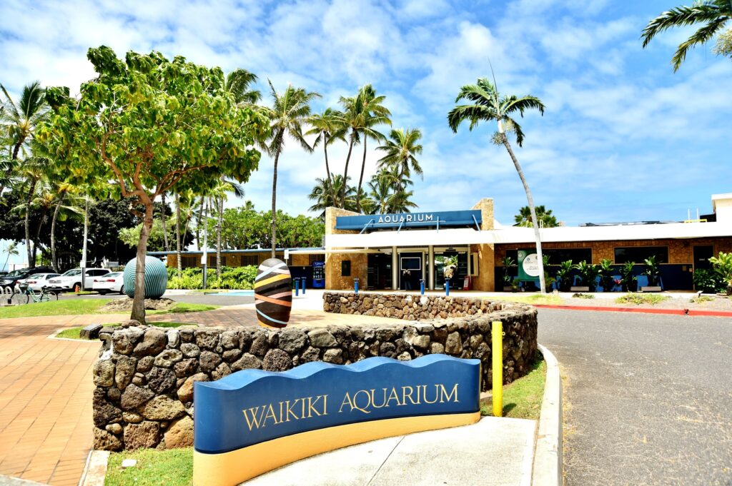 ワイキキ水族館