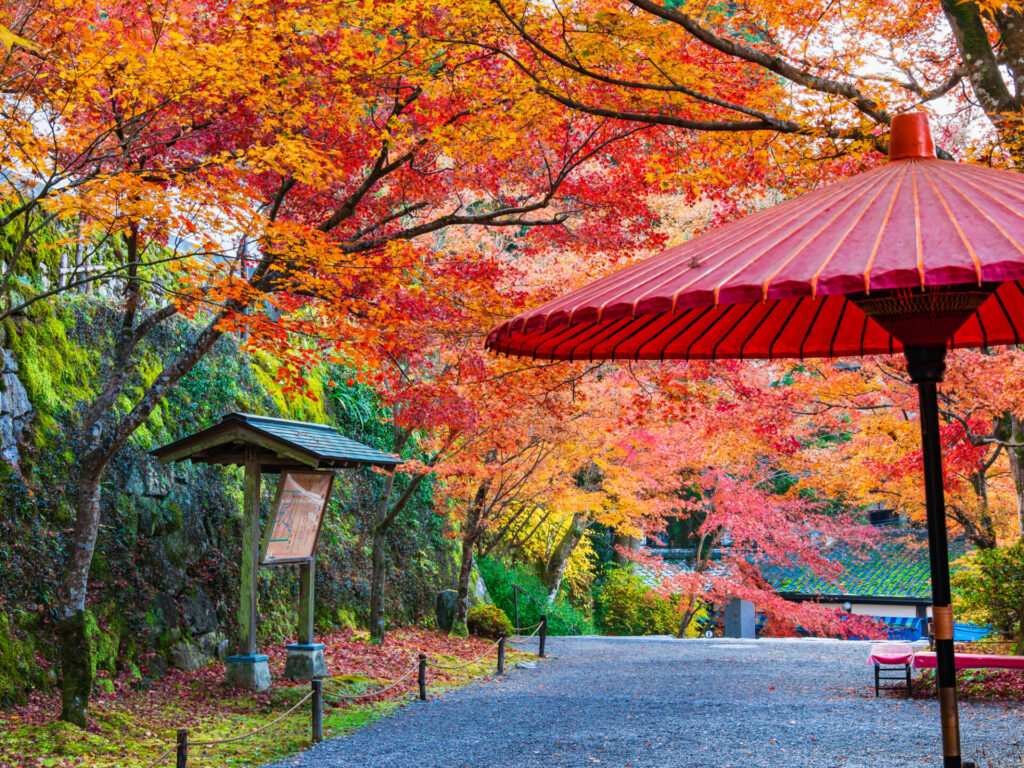 京都の紅葉で抑えておきたいスポット