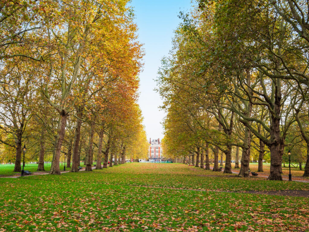 ロンドンのおすすめ公園