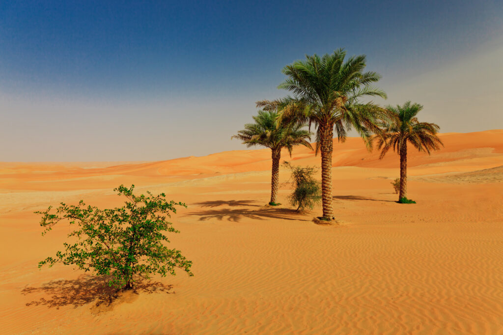 アブダビの穴場観光地