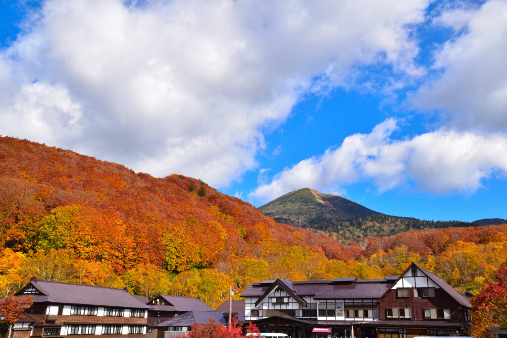 青森 人気 温泉