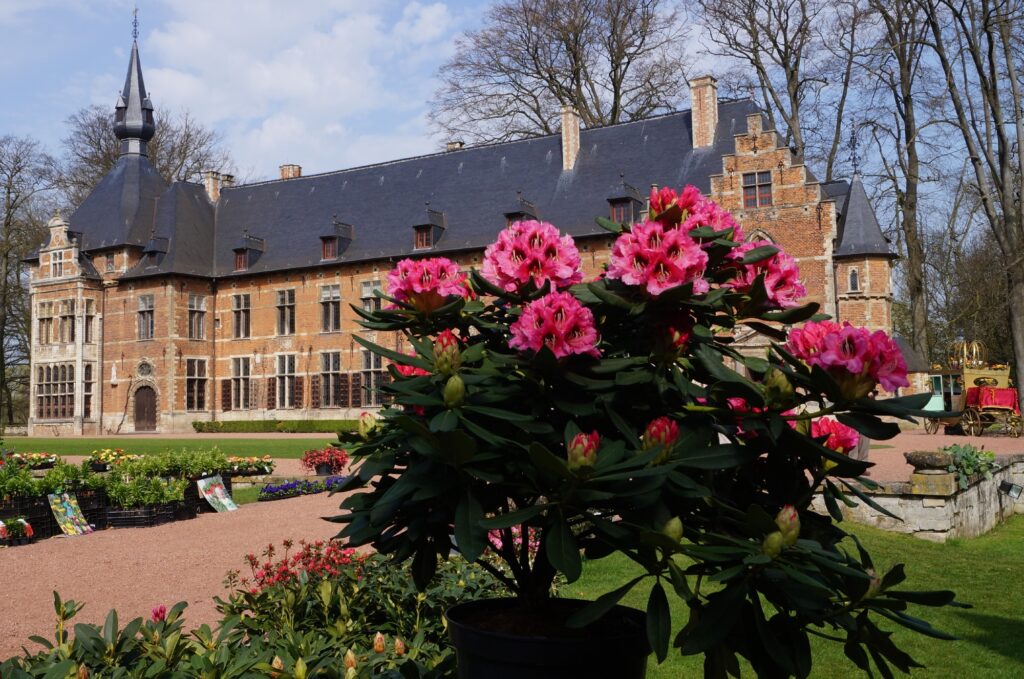 ベルギー 1日目