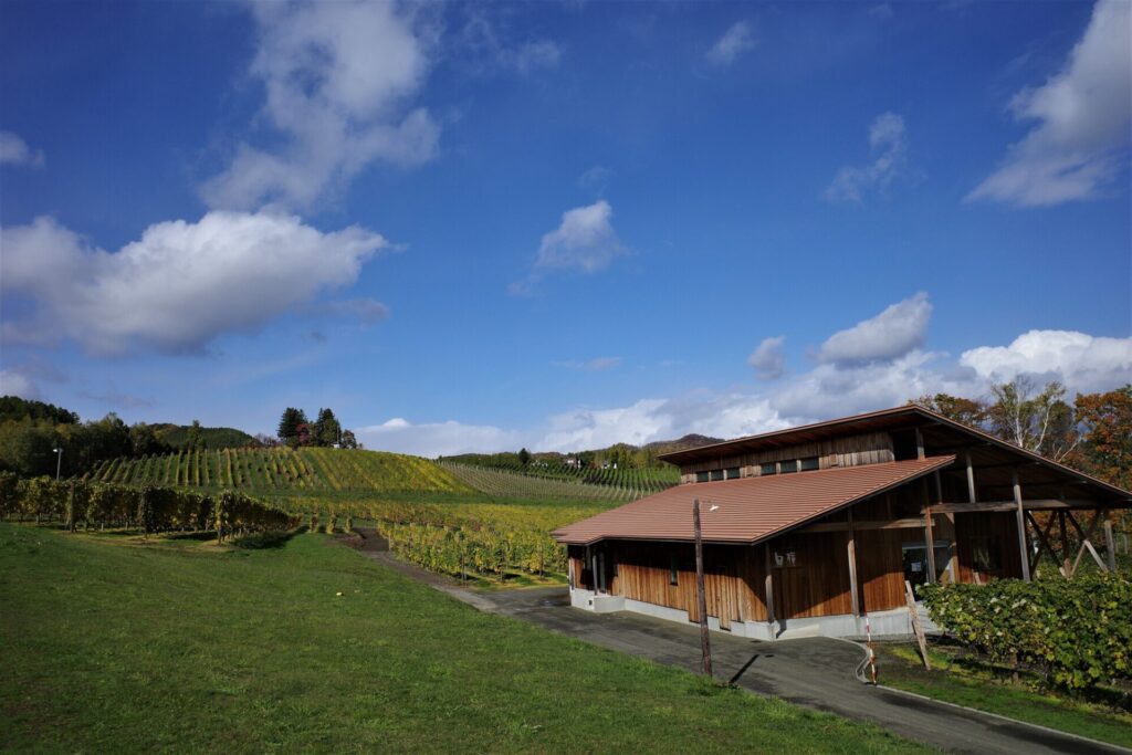 あわせて行きたい!おすすめ観光スポット