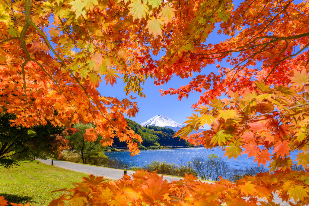 河口湖 観光 モデル コース 日帰り_1日目