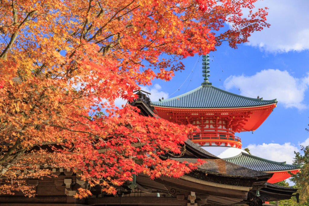 嵐山嵯峨野の紅葉穴場スポット