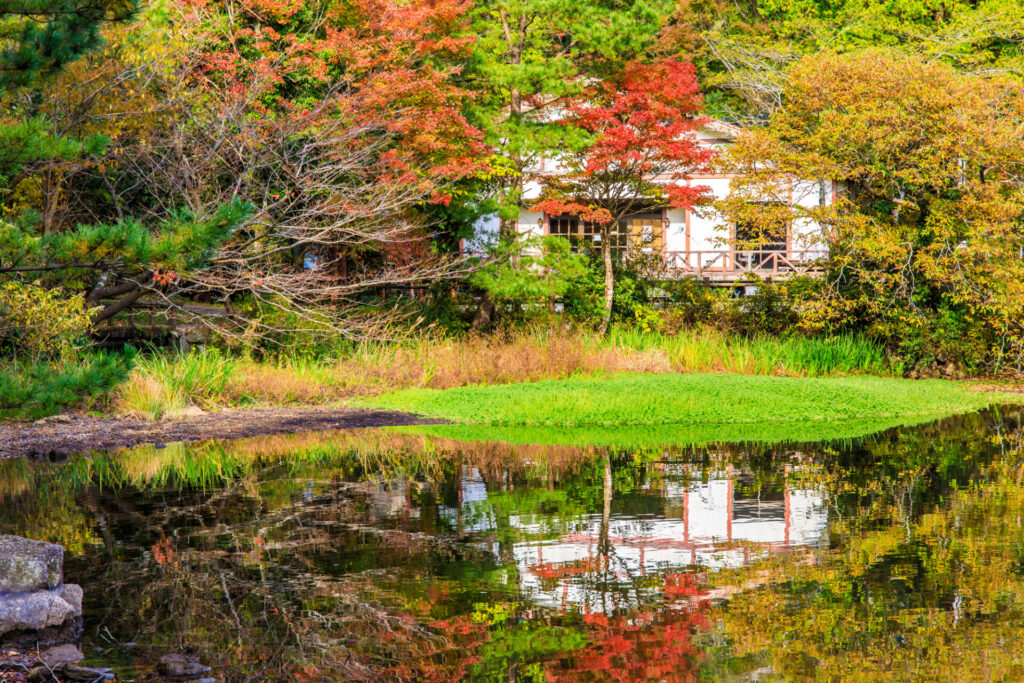 午前: 白雲の池で自然散策
